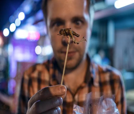 man holding crickets