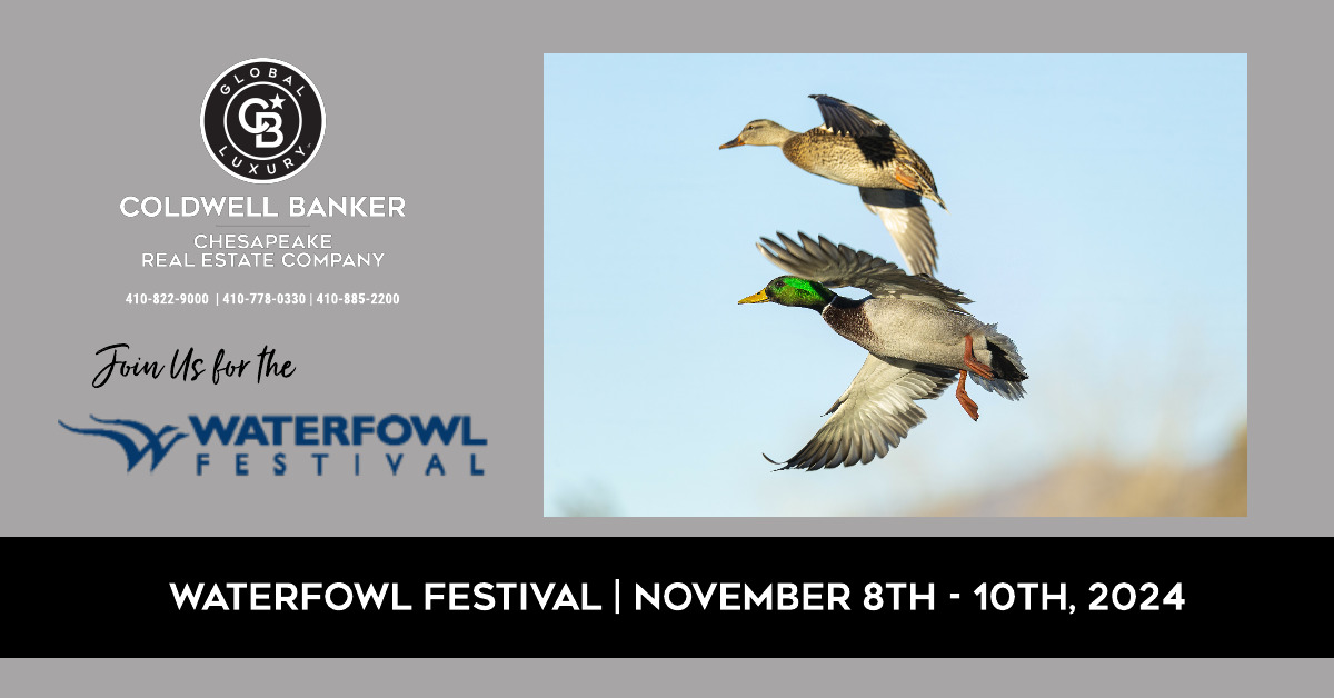 Easton Waterfowl Festival