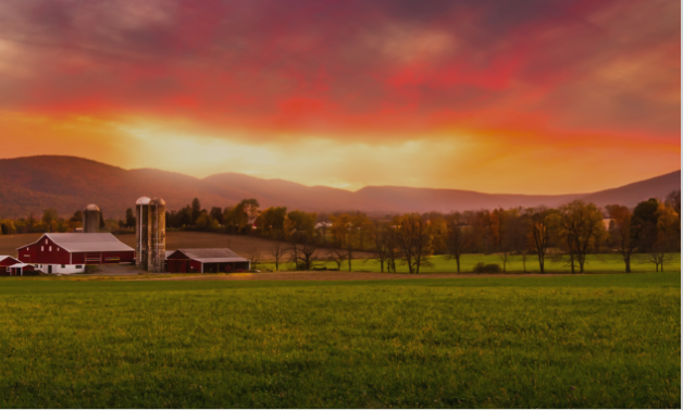 Chester-County-PA-market