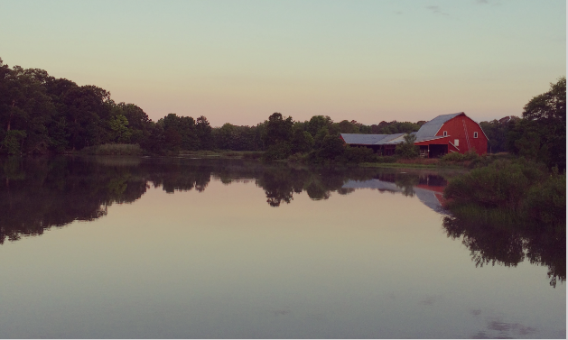 Easton-Waterfront-market