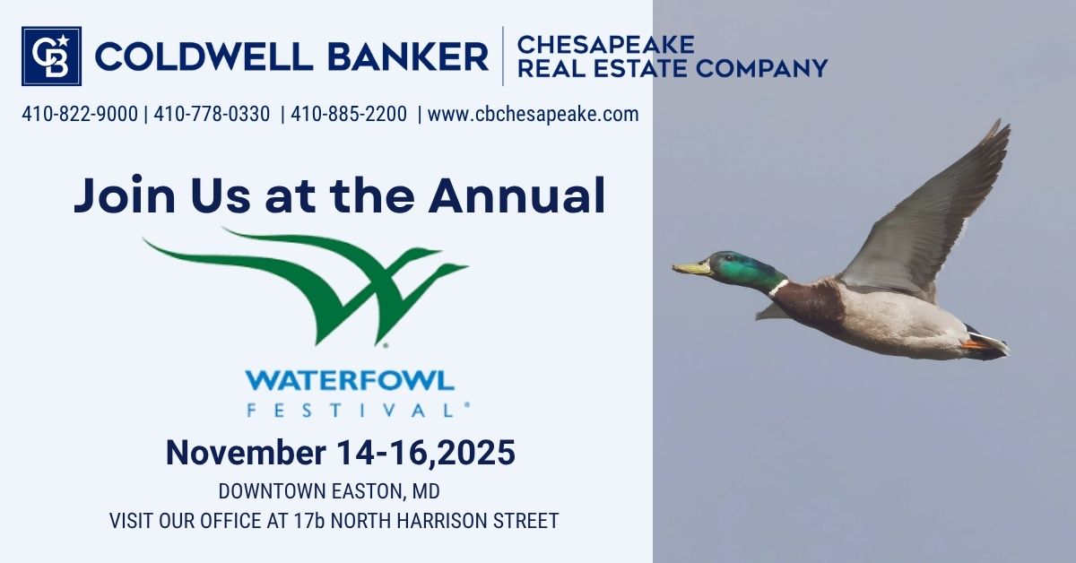 Visit the CB Chesapeake During the Waterfowl Festival 2025