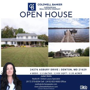 Juliet - 24276 Asbury (2)